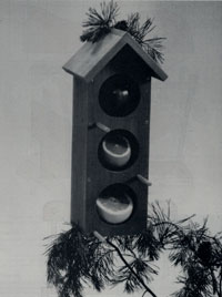 Bird Feeder